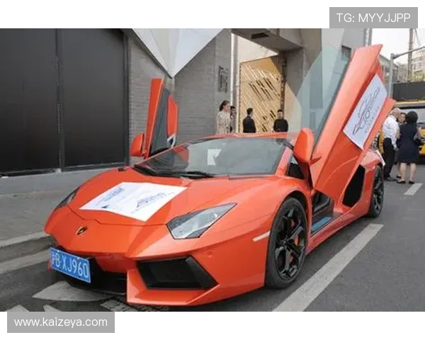 开云旗舰厅官方平台,开启尊贵娱乐的全新篇章 开云旗舰厅官方平台,开启尊贵娱乐的全新篇章