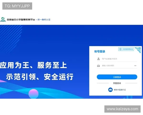 开云平台登录入口：确保账号安全的登录流程与注意事项