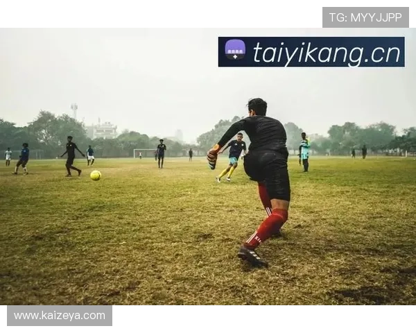 开云官网体育社区互动平台功能与用户交流体验分享