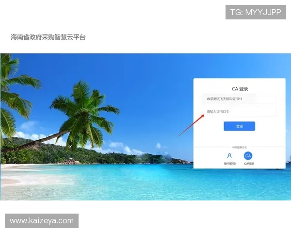 开云官网入口登录流程详解让新手玩家轻松掌握账号登录与安全设置技巧